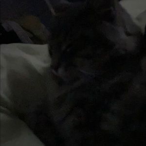 Meet your Posher, Haley